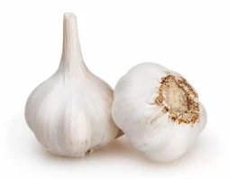 AJOS